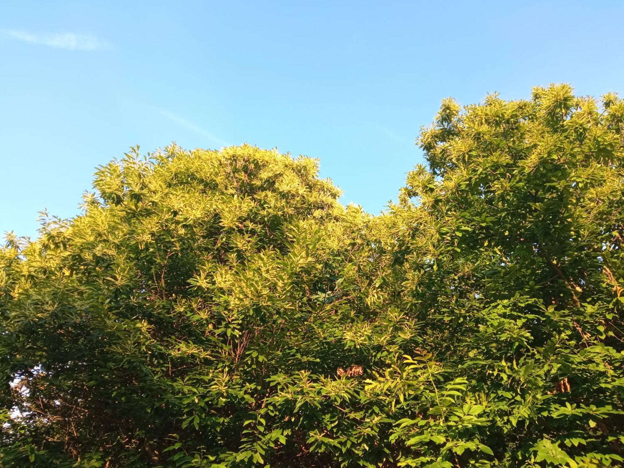 Bergamo Bnb 빌라 디 세리오 외부 사진