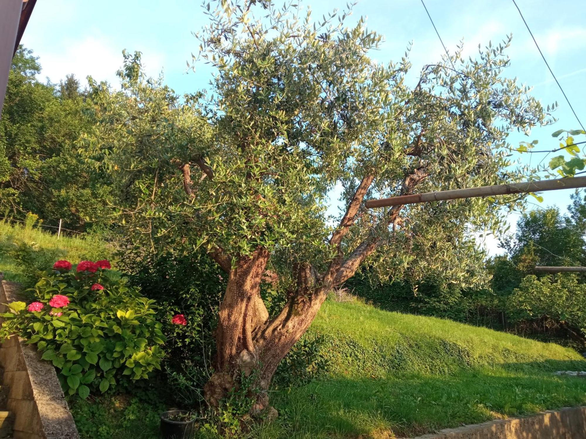 Bergamo Bnb 빌라 디 세리오 외부 사진